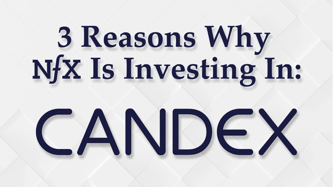 3 Reasons Why NFX Is Investing In Candex
