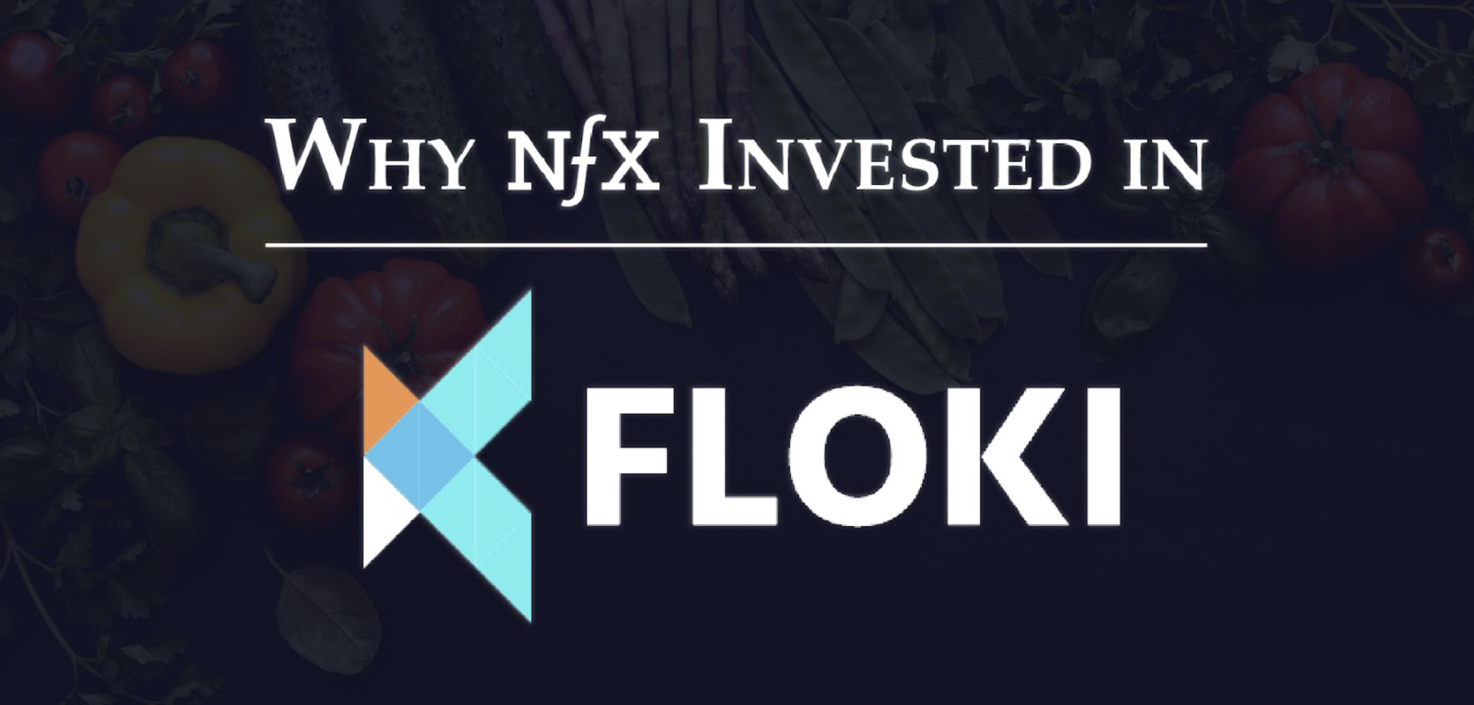 Why NFX Invested In Floki